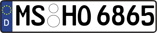 MS-HO6865