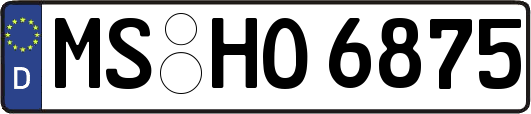 MS-HO6875