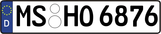 MS-HO6876