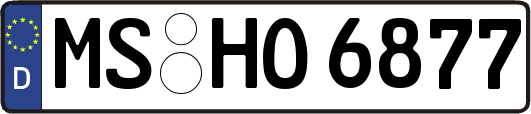 MS-HO6877