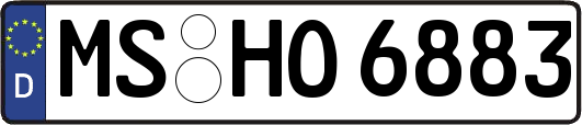 MS-HO6883