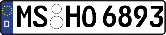 MS-HO6893