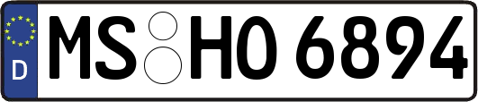 MS-HO6894