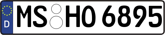 MS-HO6895