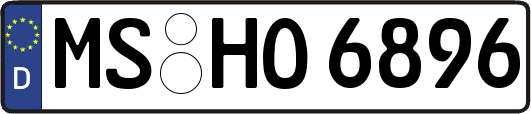 MS-HO6896