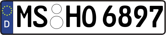 MS-HO6897