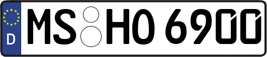 MS-HO6900