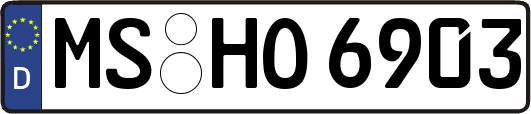 MS-HO6903