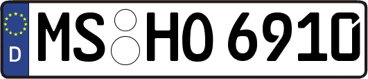 MS-HO6910