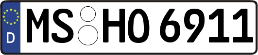 MS-HO6911