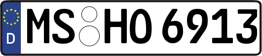 MS-HO6913