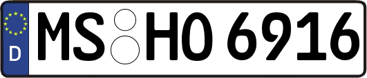MS-HO6916