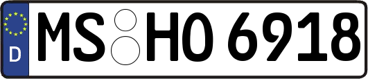 MS-HO6918