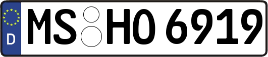 MS-HO6919