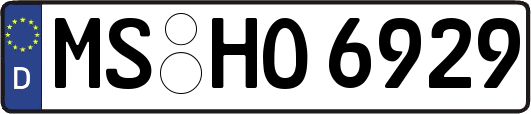 MS-HO6929