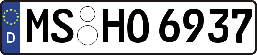 MS-HO6937