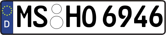 MS-HO6946