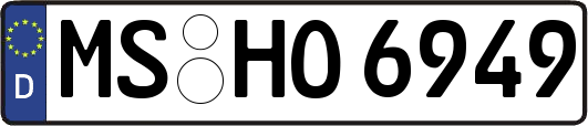 MS-HO6949