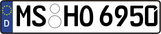 MS-HO6950
