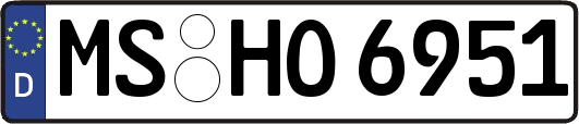 MS-HO6951