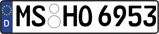MS-HO6953
