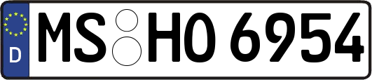 MS-HO6954