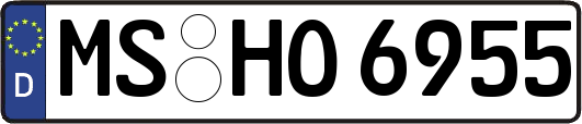MS-HO6955