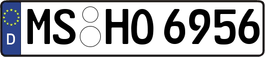 MS-HO6956