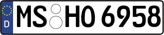 MS-HO6958