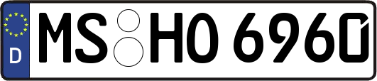 MS-HO6960