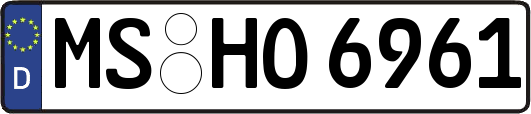 MS-HO6961