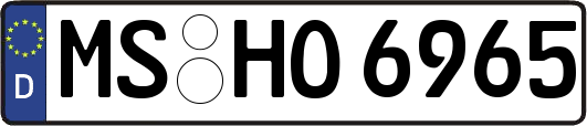 MS-HO6965