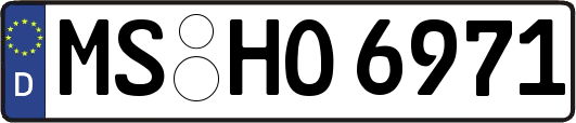 MS-HO6971