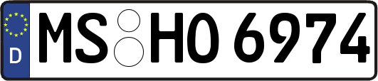 MS-HO6974