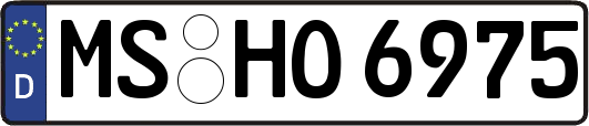 MS-HO6975