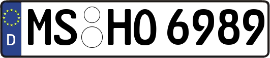 MS-HO6989
