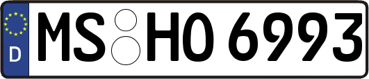 MS-HO6993