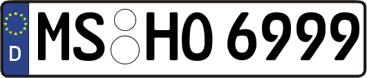 MS-HO6999