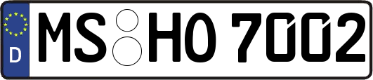 MS-HO7002