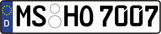 MS-HO7007