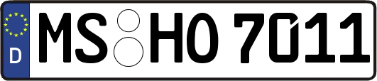 MS-HO7011