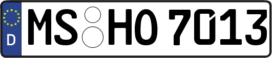 MS-HO7013