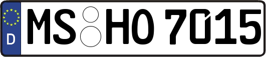 MS-HO7015