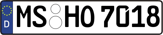 MS-HO7018