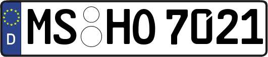 MS-HO7021