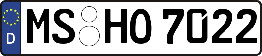 MS-HO7022
