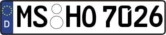 MS-HO7026