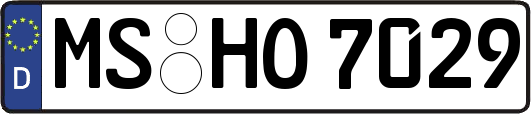 MS-HO7029