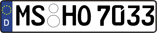 MS-HO7033
