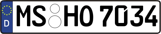 MS-HO7034